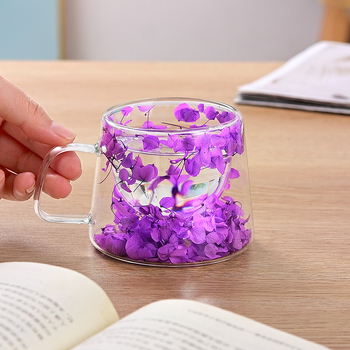 Διαφανές διπλό γυάλινο φλιτζάνι καφέ υψηλής αξίας με λαβή για δημιουργικά λουλούδια και φυτά, διπλό απλό, ξηρό γυάλινο φλιτζάνι