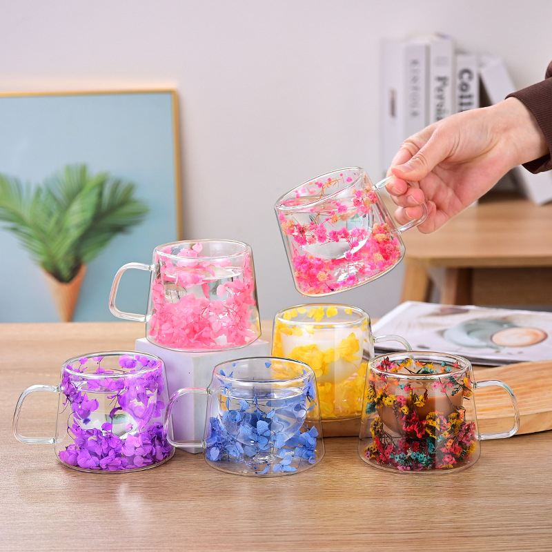 Dvisluoksnis stiklinis aukštos kokybės kavos puodelis tarp kraštų su rankena, kūrybingos gėlės ir augalai, dvisluoksnis paprastas sausas stiklinis puodelis