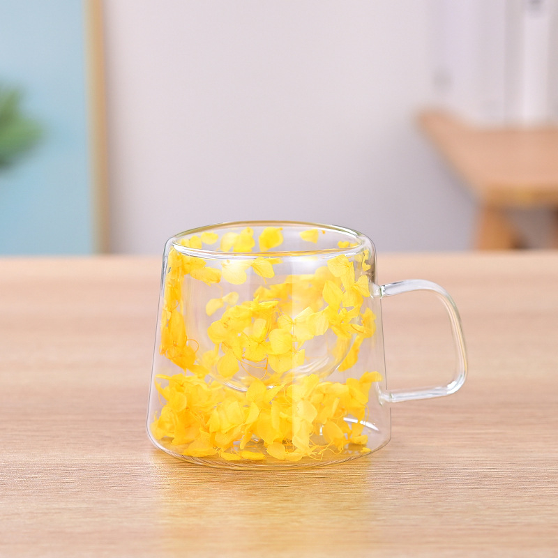 Dvisluoksnis stiklinis aukštos kokybės kavos puodelis tarp kraštų su rankena, kūrybingos gėlės ir augalai, dvisluoksnis paprastas sausas stiklinis puodelis