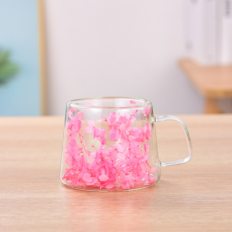 Dvisluoksnis stiklinis aukštos kokybės kavos puodelis tarp kraštų su rankena, kūrybingos gėlės ir augalai, dvisluoksnis paprastas sausas stiklinis puodelis
