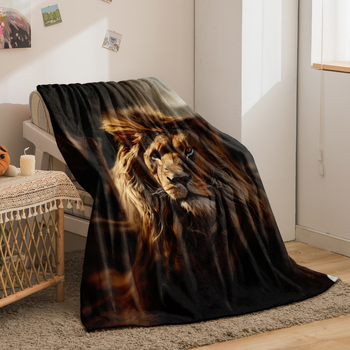 Κουβέρτα Lion Flannel με πυκνή ζεστή κουβέρτα για φθινόπωρο και χειμώνα Amazon Nap Blanket Διασυνοριακό εργοστάσιο άμεσης πώλησης