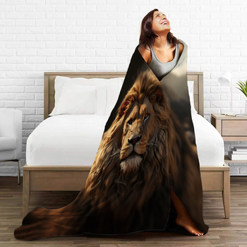 Κουβέρτα Lion Flannel με πυκνή ζεστή κουβέρτα για φθινόπωρο και χειμώνα Amazon Nap Blanket Διασυνοριακό εργοστάσιο άμεσης πώλησης