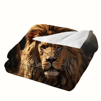 Κουβέρτα Lion Flannel με πυκνή ζεστή κουβέρτα για φθινόπωρο και χειμώνα Amazon Nap Blanket Διασυνοριακό εργοστάσιο άμεσης πώλησης