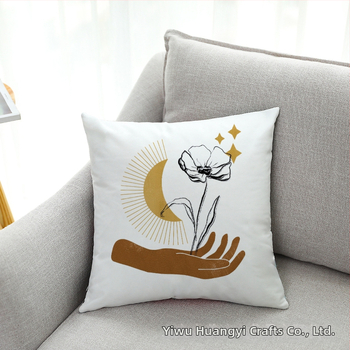 Amazon Cross-border Hot Sale Simple Sun Super Soft Velvet Pillow Case Car Match Cushion Cushion Cushion