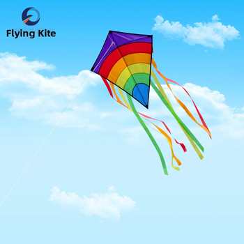 Pārrobežu jauns produkts, pielāgots pūķim, Amazon vislabāk pārdotais daudzastes līknes romba bērnu pūķis, Veifangas pūķu vairumtirdzniecība