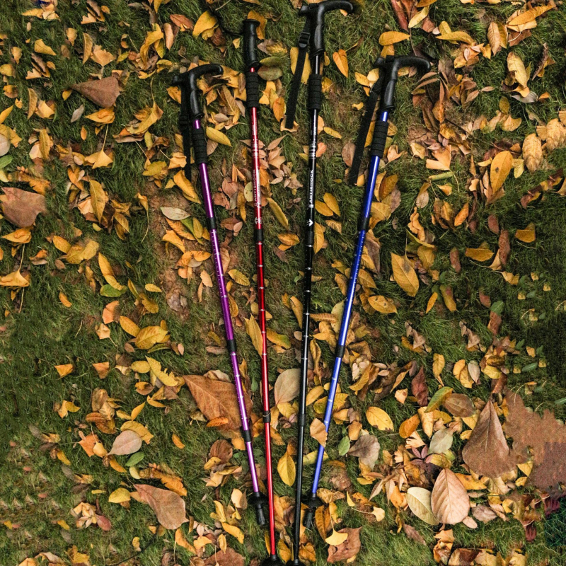 Karštos pardavimo lauko kelionių žygio lazdos, ištraukiamos žygio lazdos, aliuminio lydinio lazdos, ėjimo lazdos, vytelės