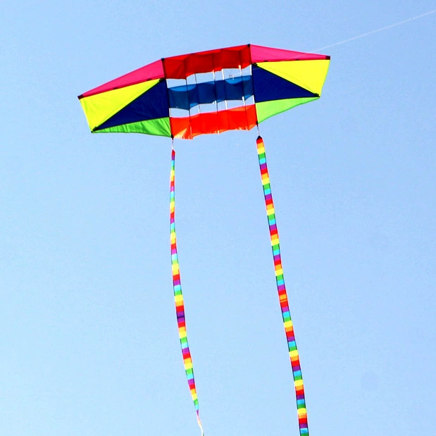 Veifangas pūķu ārējā tirdzniecība Amazon Eagle pūķu brīze viegli lidojošs koi pūķis Veifangas vairumtirdzniecības ražotājs