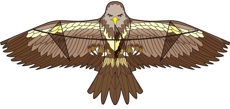 Veifangas pūķu ārējā tirdzniecība Amazon Eagle pūķu brīze viegli lidojošs koi pūķis Veifangas vairumtirdzniecības ražotājs