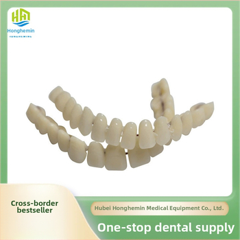 Suulise õppematerjali simulatsiooniprotees kaherealine plastproteesimudel väliskaubanduse piiriülene kuum müük