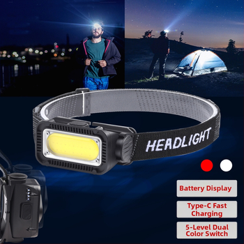 Mitmefunktsiooniline esitule induktsioon-esitule