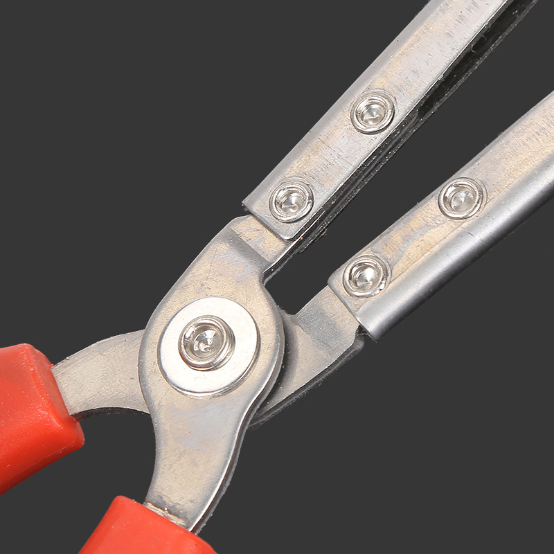 Rizsföldi angolnacsipesz rákcsipesz vezetés tengeri angolnacsipesz csíkrák homárcsipesz vastagított rozsdamentes acél angolnacsipesz halászfelszerelés