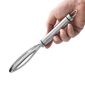 Ξύστρα ζυγαριάς ψαριών, ξύστρα ζυγαριάς ψαριών, ξύστρα ζυγαριάς ψαριών 304 από ανοξείδωτο χάλυβα, εργαλείο θανάτωσης ψαριών