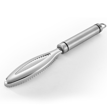 Ξύστρα ζυγαριάς ψαριών, ξύστρα ζυγαριάς ψαριών, ξύστρα ζυγαριάς ψαριών 304 από ανοξείδωτο χάλυβα, εργαλείο θανάτωσης ψαριών