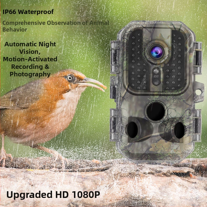 piiriülene infrapunane metsloomade kaamera välistingimustes kasutatav HD-jahikaamera öise nägemise jälgimise induktsioonjahikaamera viljapuuaias