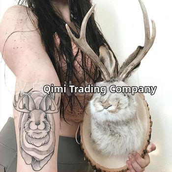 Ανεξάρτητος Σταθμός Εκρηκτικό Κέρατο Κουνέλι Παραδοσιακή ταρίχευση σε μαύρες ξύλινες πλάκες Διακοσμήσεις δώρων εγκαινίων σπιτιού