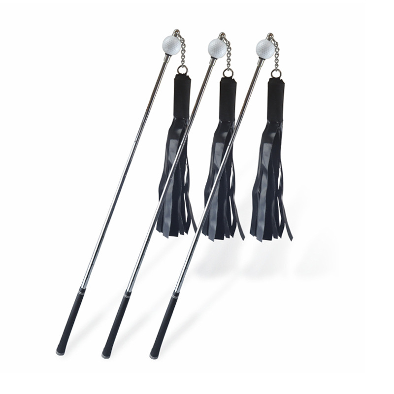 Parkson Golf Swing Trainer Swing Secret Magic Whip Patent č. 2023304328871 Patentový dizajn
