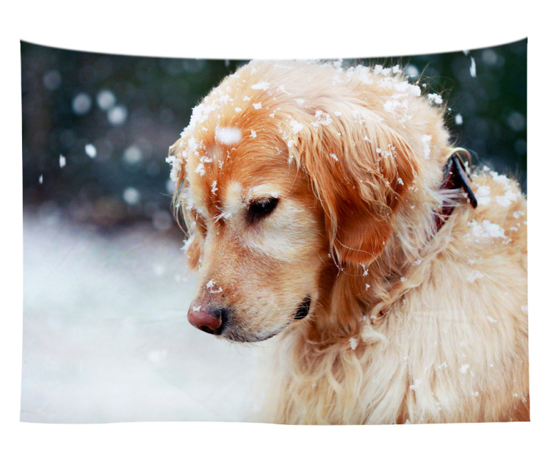 Άμεση προμήθεια από εργοστάσιο Meng Fun κατοικίδιο νέο τυπωμένο ταπισερί για το σπίτι κρεμαστό διακοσμητικό τοίχου μαξιλάρι πετσέτας θαλάσσης μια ελάχιστη παραγγελία