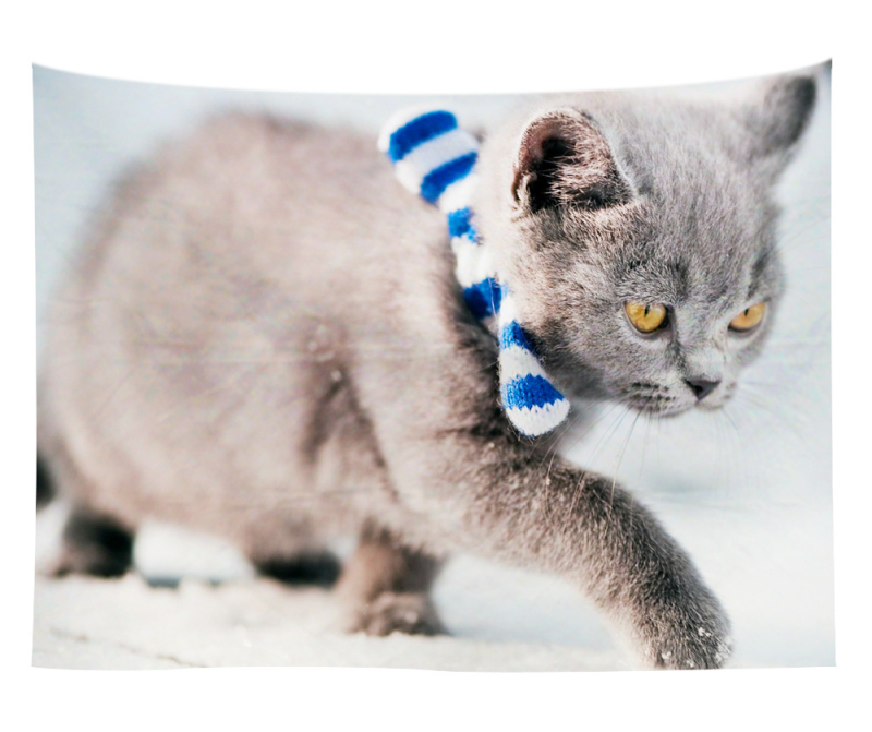 Άμεση προμήθεια από εργοστάσιο Meng Fun κατοικίδιο νέο τυπωμένο ταπισερί για το σπίτι κρεμαστό διακοσμητικό τοίχου μαξιλάρι πετσέτας θαλάσσης μια ελάχιστη παραγγελία