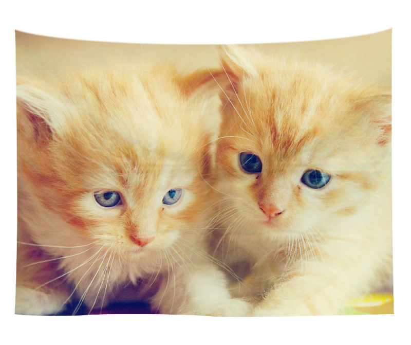 Άμεση προμήθεια από εργοστάσιο Meng Fun κατοικίδιο νέο τυπωμένο ταπισερί για το σπίτι κρεμαστό διακοσμητικό τοίχου μαξιλάρι πετσέτας θαλάσσης μια ελάχιστη παραγγελία