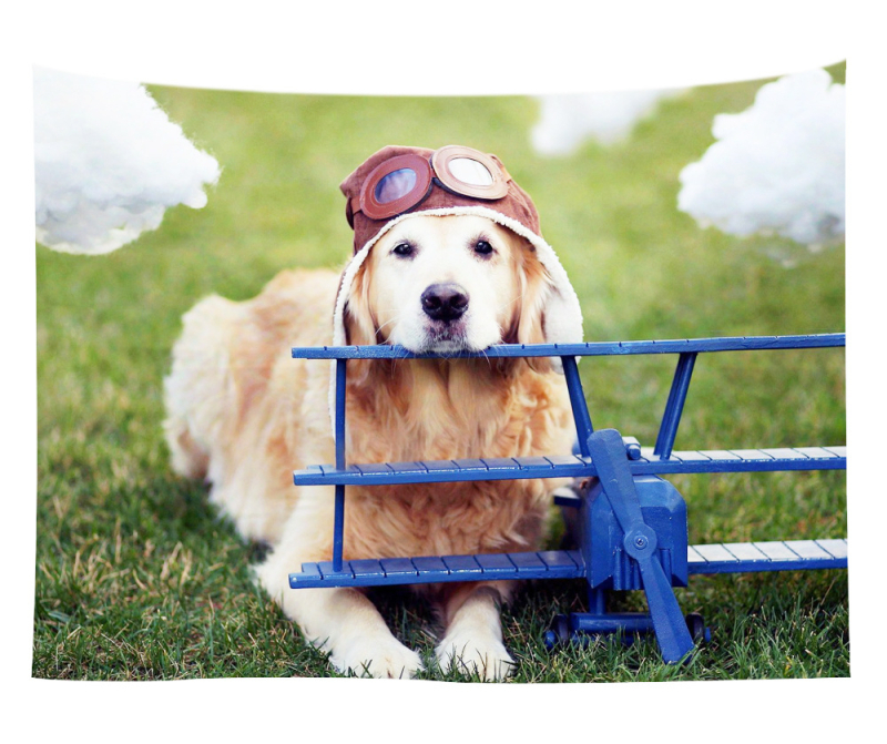 Άμεση προμήθεια από εργοστάσιο Meng Fun κατοικίδιο νέο τυπωμένο ταπισερί για το σπίτι κρεμαστό διακοσμητικό τοίχου μαξιλάρι πετσέτας θαλάσσης μια ελάχιστη παραγγελία