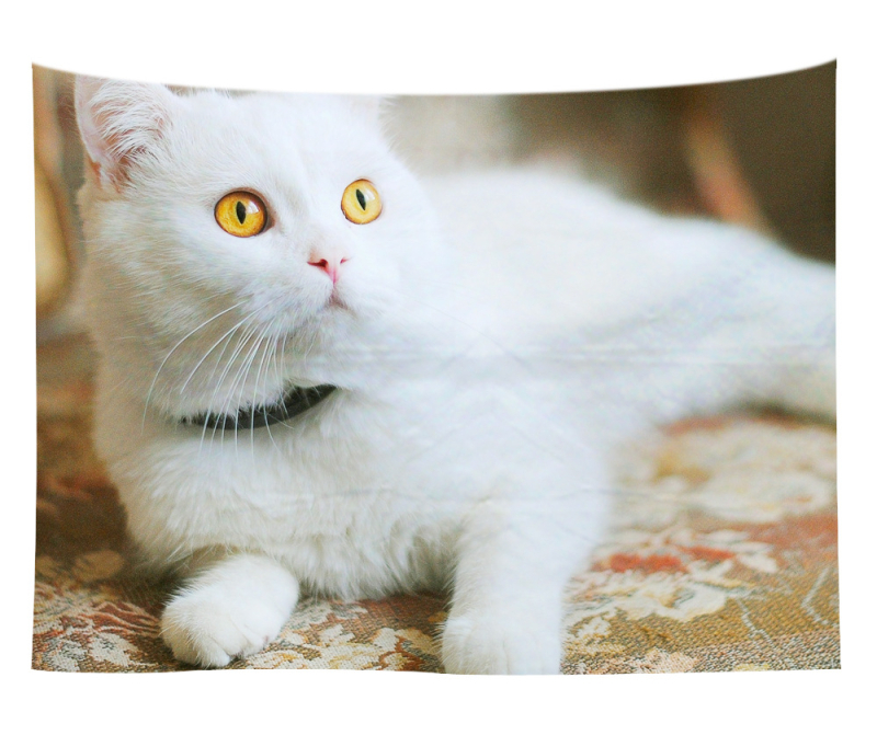 Άμεση προμήθεια από εργοστάσιο Meng Fun κατοικίδιο νέο τυπωμένο ταπισερί για το σπίτι κρεμαστό διακοσμητικό τοίχου μαξιλάρι πετσέτας θαλάσσης μια ελάχιστη παραγγελία