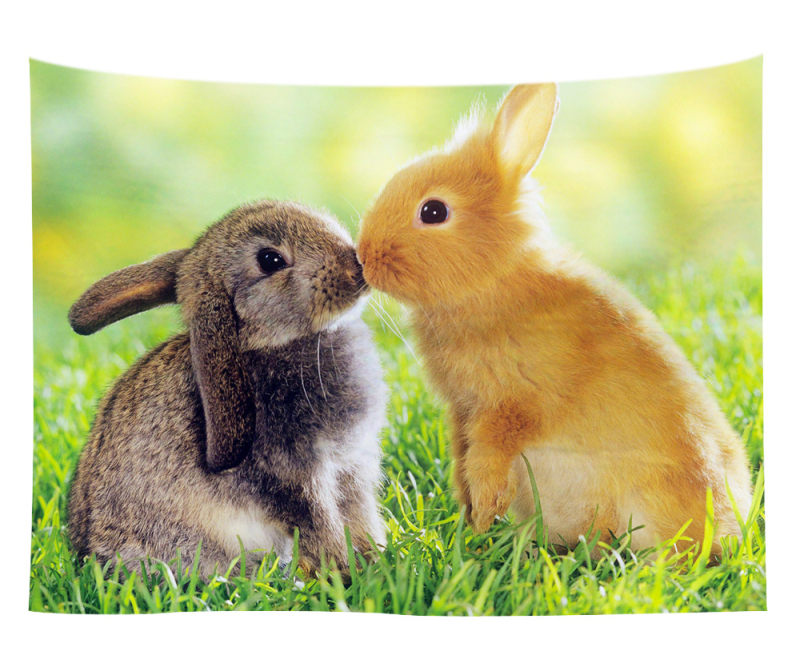 Άμεση προμήθεια από εργοστάσιο Meng Fun κατοικίδιο νέο τυπωμένο ταπισερί για το σπίτι κρεμαστό διακοσμητικό τοίχου μαξιλάρι πετσέτας θαλάσσης μια ελάχιστη παραγγελία