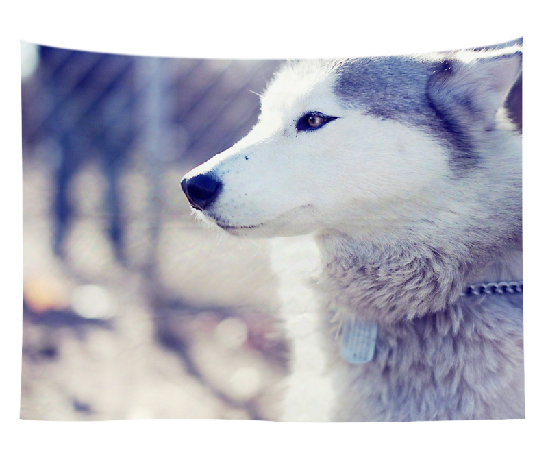 Άμεση προμήθεια από εργοστάσιο Meng Fun κατοικίδιο νέο τυπωμένο ταπισερί για το σπίτι κρεμαστό διακοσμητικό τοίχου μαξιλάρι πετσέτας θαλάσσης μια ελάχιστη παραγγελία