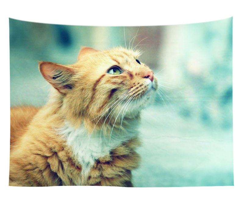 Άμεση προμήθεια από εργοστάσιο Meng Fun κατοικίδιο νέο τυπωμένο ταπισερί για το σπίτι κρεμαστό διακοσμητικό τοίχου μαξιλάρι πετσέτας θαλάσσης μια ελάχιστη παραγγελία