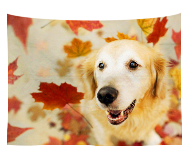 Άμεση προμήθεια από εργοστάσιο Meng Fun κατοικίδιο νέο τυπωμένο ταπισερί για το σπίτι κρεμαστό διακοσμητικό τοίχου μαξιλάρι πετσέτας θαλάσσης μια ελάχιστη παραγγελία