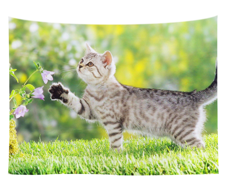 Άμεση προμήθεια από εργοστάσιο Meng Fun κατοικίδιο νέο τυπωμένο ταπισερί για το σπίτι κρεμαστό διακοσμητικό τοίχου μαξιλάρι πετσέτας θαλάσσης μια ελάχιστη παραγγελία