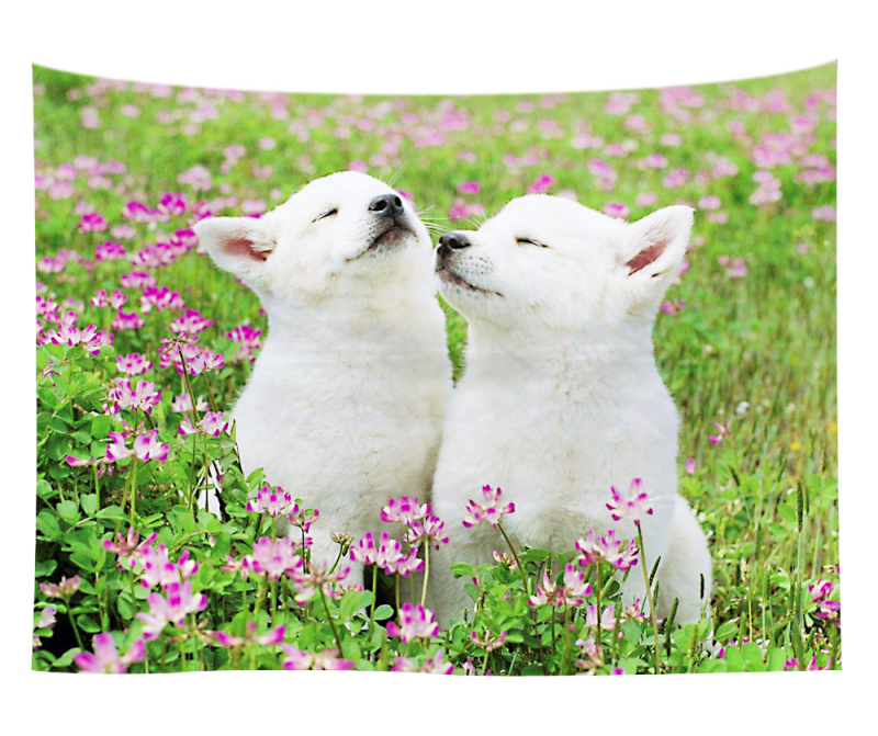 Άμεση προμήθεια από εργοστάσιο Meng Fun κατοικίδιο νέο τυπωμένο ταπισερί για το σπίτι κρεμαστό διακοσμητικό τοίχου μαξιλάρι πετσέτας θαλάσσης μια ελάχιστη παραγγελία