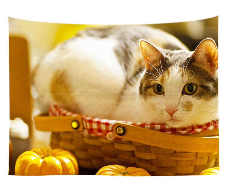 Άμεση προμήθεια από εργοστάσιο Meng Fun κατοικίδιο νέο τυπωμένο ταπισερί για το σπίτι κρεμαστό διακοσμητικό τοίχου μαξιλάρι πετσέτας θαλάσσης μια ελάχιστη παραγγελία