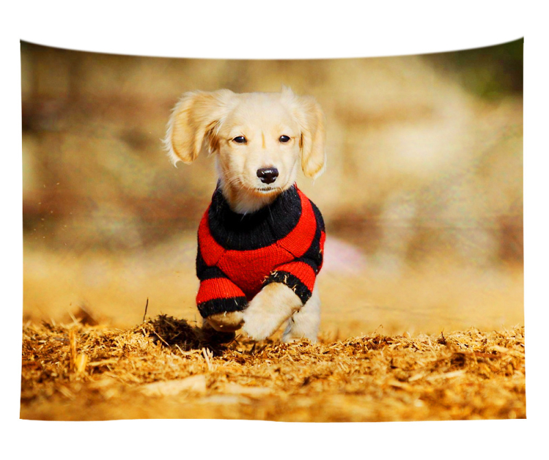 Άμεση προμήθεια από εργοστάσιο Meng Fun κατοικίδιο νέο τυπωμένο ταπισερί για το σπίτι κρεμαστό διακοσμητικό τοίχου μαξιλάρι πετσέτας θαλάσσης μια ελάχιστη παραγγελία