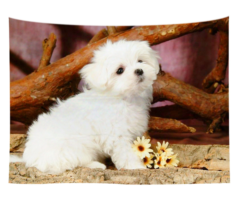 Άμεση προμήθεια από εργοστάσιο Meng Fun κατοικίδιο νέο τυπωμένο ταπισερί για το σπίτι κρεμαστό διακοσμητικό τοίχου μαξιλάρι πετσέτας θαλάσσης μια ελάχιστη παραγγελία