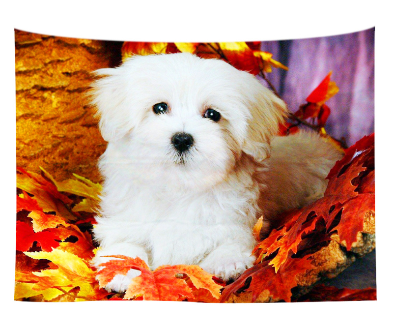 Άμεση προμήθεια από εργοστάσιο Meng Fun κατοικίδιο νέο τυπωμένο ταπισερί για το σπίτι κρεμαστό διακοσμητικό τοίχου μαξιλάρι πετσέτας θαλάσσης μια ελάχιστη παραγγελία