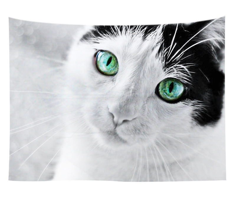 Άμεση προμήθεια από εργοστάσιο Meng Fun κατοικίδιο νέο τυπωμένο ταπισερί για το σπίτι κρεμαστό διακοσμητικό τοίχου μαξιλάρι πετσέτας θαλάσσης μια ελάχιστη παραγγελία