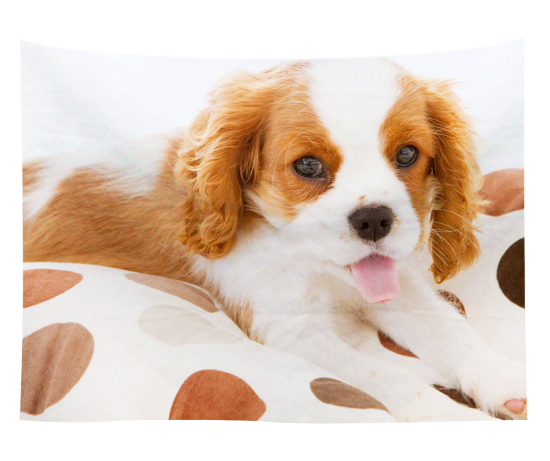 Άμεση προμήθεια από εργοστάσιο Meng Fun κατοικίδιο νέο τυπωμένο ταπισερί για το σπίτι κρεμαστό διακοσμητικό τοίχου μαξιλάρι πετσέτας θαλάσσης μια ελάχιστη παραγγελία