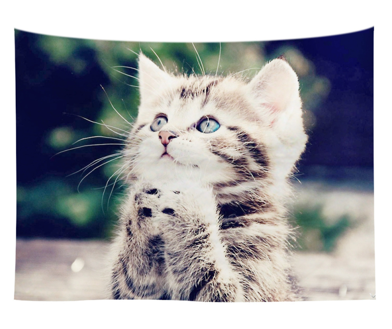 Άμεση προμήθεια από εργοστάσιο Meng Fun κατοικίδιο νέο τυπωμένο ταπισερί για το σπίτι κρεμαστό διακοσμητικό τοίχου μαξιλάρι πετσέτας θαλάσσης μια ελάχιστη παραγγελία