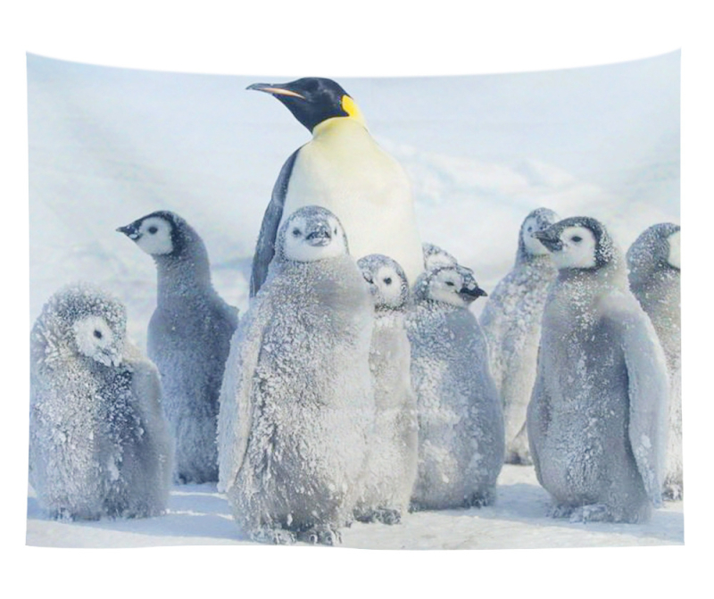 Άμεση προμήθεια από εργοστάσιο Meng Fun κατοικίδιο νέο τυπωμένο ταπισερί για το σπίτι κρεμαστό διακοσμητικό τοίχου μαξιλάρι πετσέτας θαλάσσης μια ελάχιστη παραγγελία