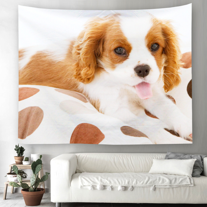 Άμεση προμήθεια από εργοστάσιο Meng Fun κατοικίδιο νέο τυπωμένο ταπισερί για το σπίτι κρεμαστό διακοσμητικό τοίχου μαξιλάρι πετσέτας θαλάσσης μια ελάχιστη παραγγελία