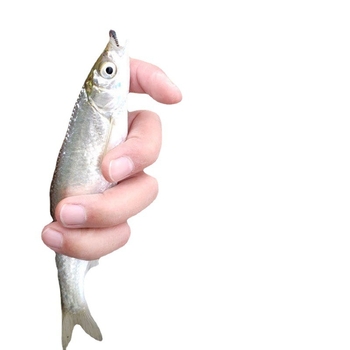 Mušiņāķis Nimfas āķis Karūsu karpu makšķerēšanas āķis ar dzeloni Viltus ēsma Mušiņāķis Kukaiņu ēsma Mušiņmakšķerēšanai