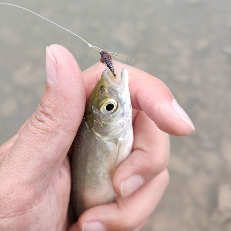 Museliavimo kabliukas, nimfos kabliukas, karosų kabliukas, karpių kabliukas su dygliu, netikras masalas, museliavimo kabliukas, vabzdžių masalas, muselinei žvejybai