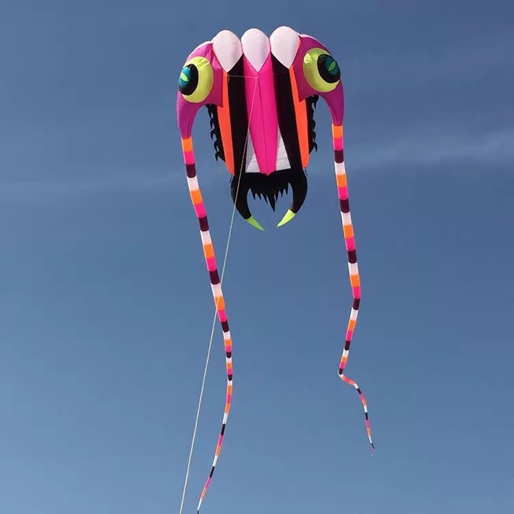 Mīksts trilobītu pūķis piepūšams pūķis liels mīksts pūķis neilona lietussargs auduma pūķis