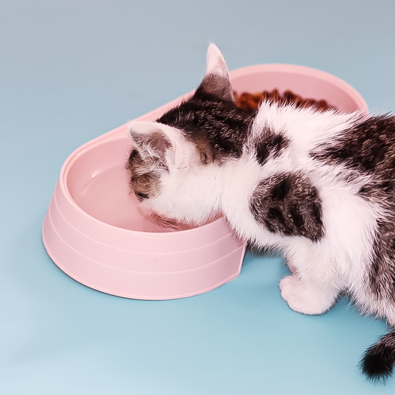 Gyári forrásból származó kopogásgátló kutyatál dupla tál könnyen tisztítható kerek macskatál egyszerű műanyag sűrített tál kisállat tál