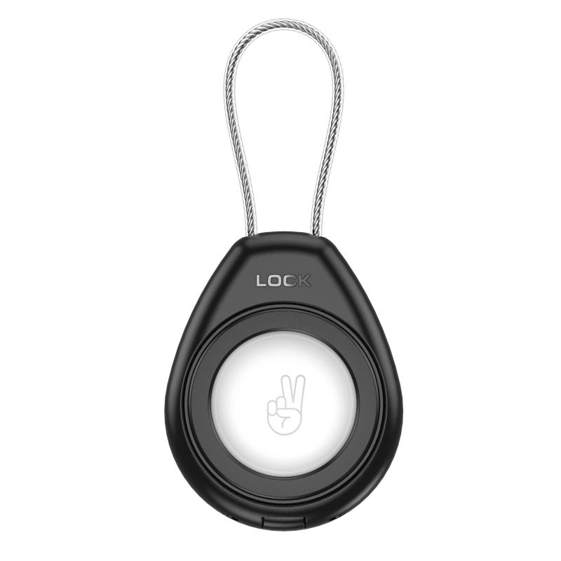 Piemērojams AirTag aizsargapvalks Apple Airtag pretpazaudēšanas lokatora virve Caurspīdīga universāla metāla virves aizsargapvalks