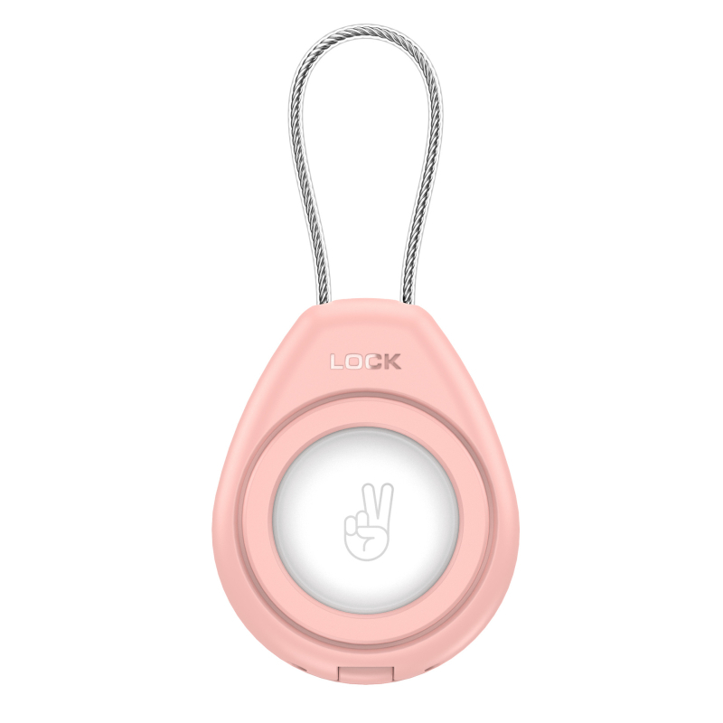 Piemērojams AirTag aizsargapvalks Apple Airtag pretpazaudēšanas lokatora virve Caurspīdīga universāla metāla virves aizsargapvalks