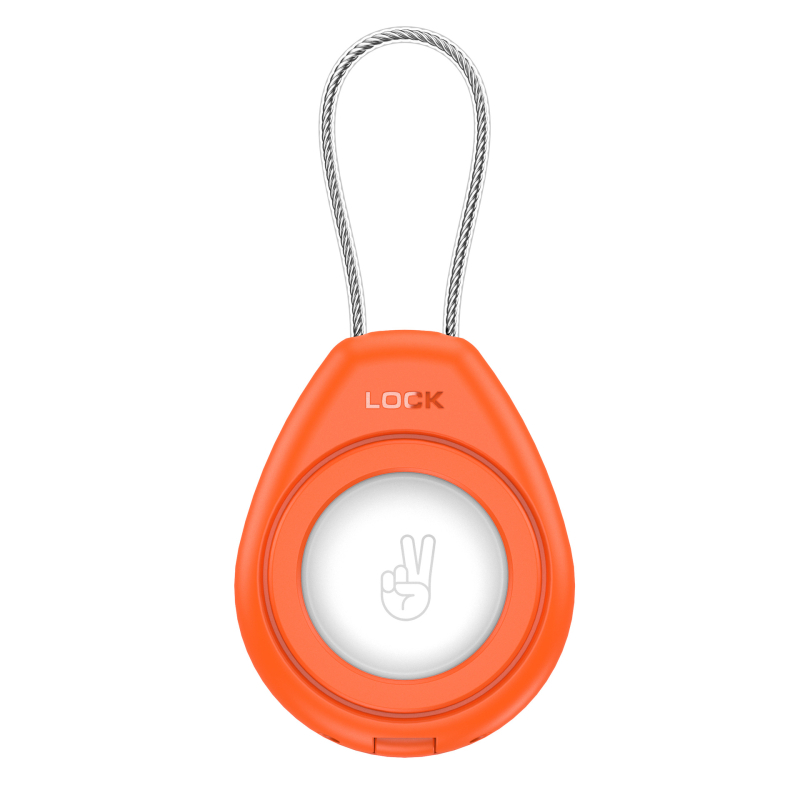 Piemērojams AirTag aizsargapvalks Apple Airtag pretpazaudēšanas lokatora virve Caurspīdīga universāla metāla virves aizsargapvalks