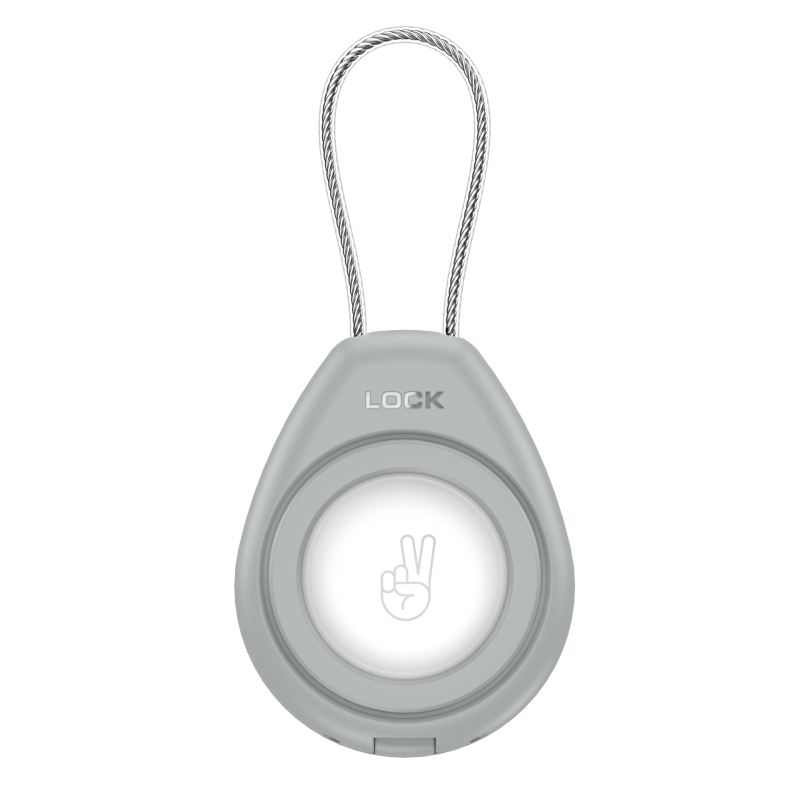 Piemērojams AirTag aizsargapvalks Apple Airtag pretpazaudēšanas lokatora virve Caurspīdīga universāla metāla virves aizsargapvalks