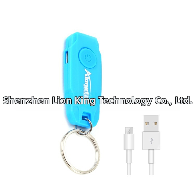 Y06 Nabíjateľná darčeková kľúčenka so svietidlom na kľúče Mini LED kľúčenka so svietidlom na domáce zvieratá Y06