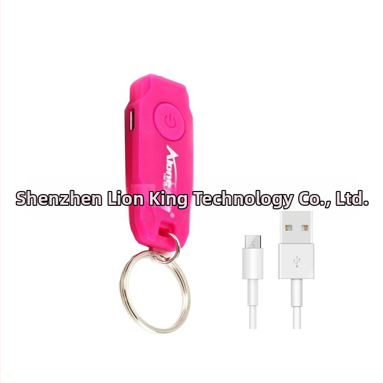 Y06 Nabíjateľná darčeková kľúčenka so svietidlom na kľúče Mini LED kľúčenka so svietidlom na domáce zvieratá Y06